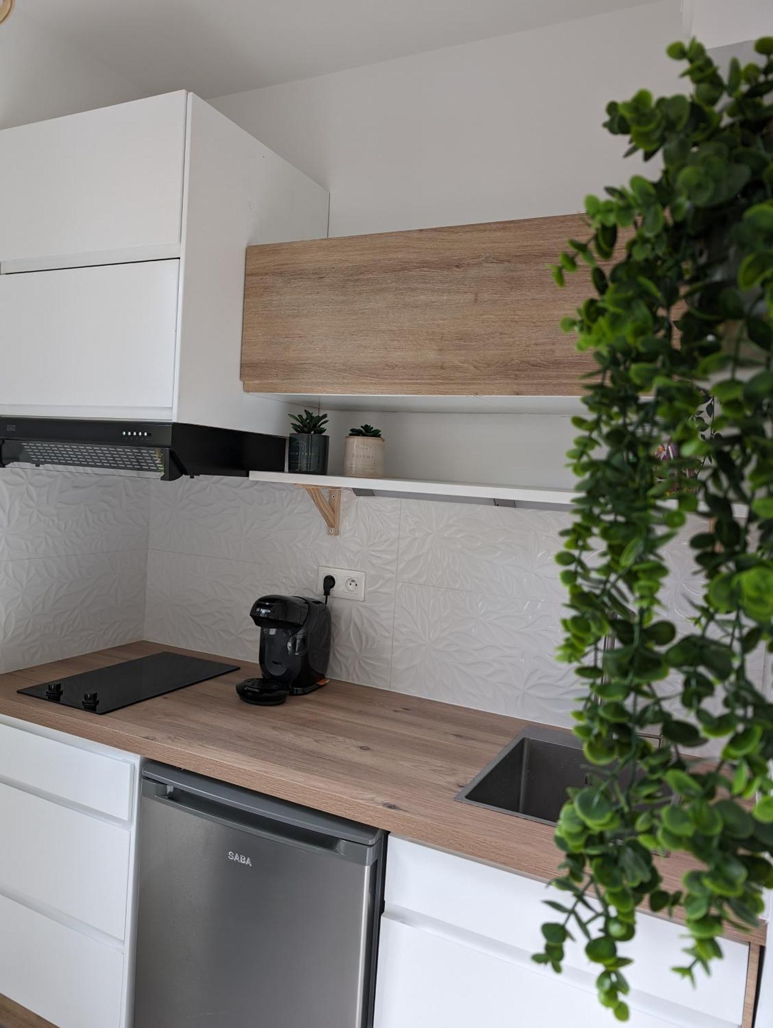 Appartement Cosy Au Calme A Cote Du Zoo Avec Balcon Et Parking Securise Montpellier Buitenkant foto
